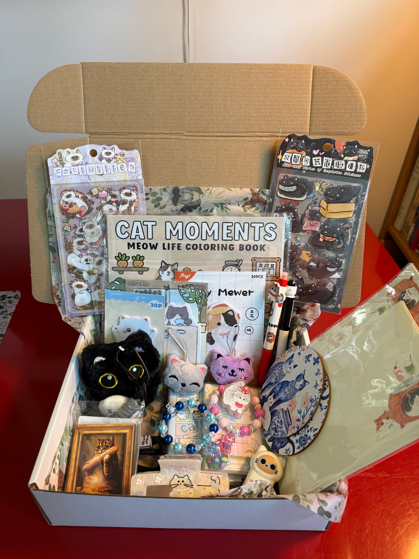 Cat Themed Mystery Scoop Box