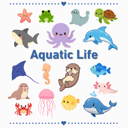 Aquatic Life Themed Mystery Scoop Box