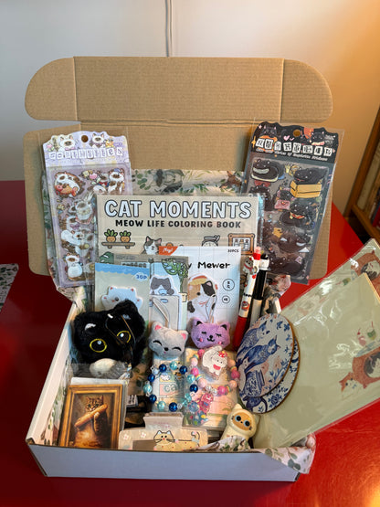 Cat Themed Mystery Scoop Box